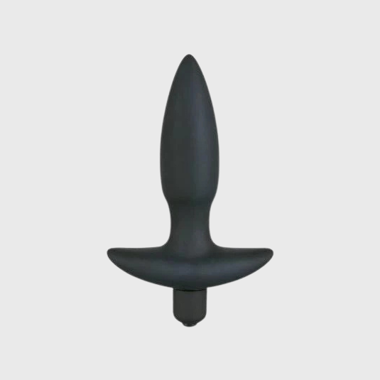 Analpluggar