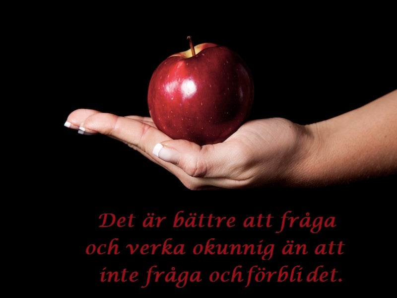 Dirty Thoughts – Våga fråga