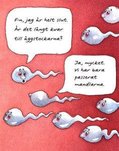 Fredagsfräckis