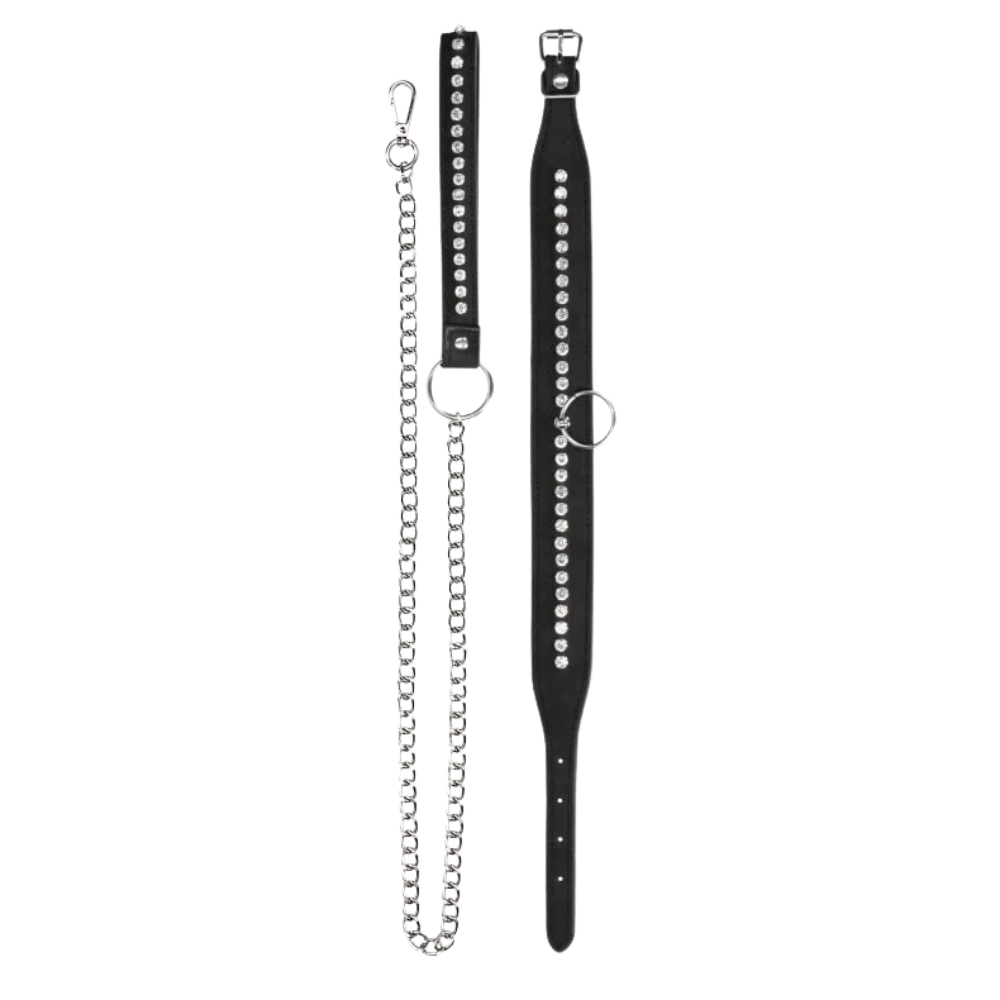 Diamond Studded Collar with Leash