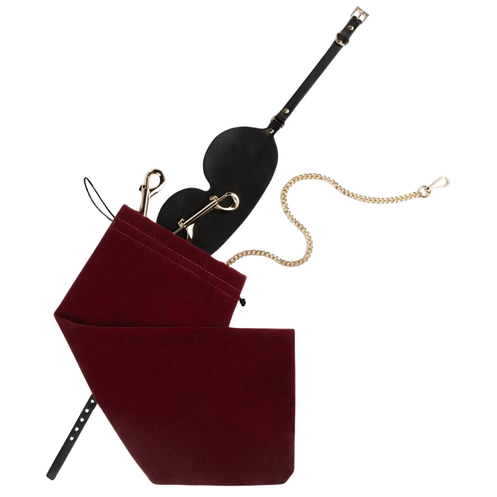 Bedroom Fantasies - Bondage Suitcase