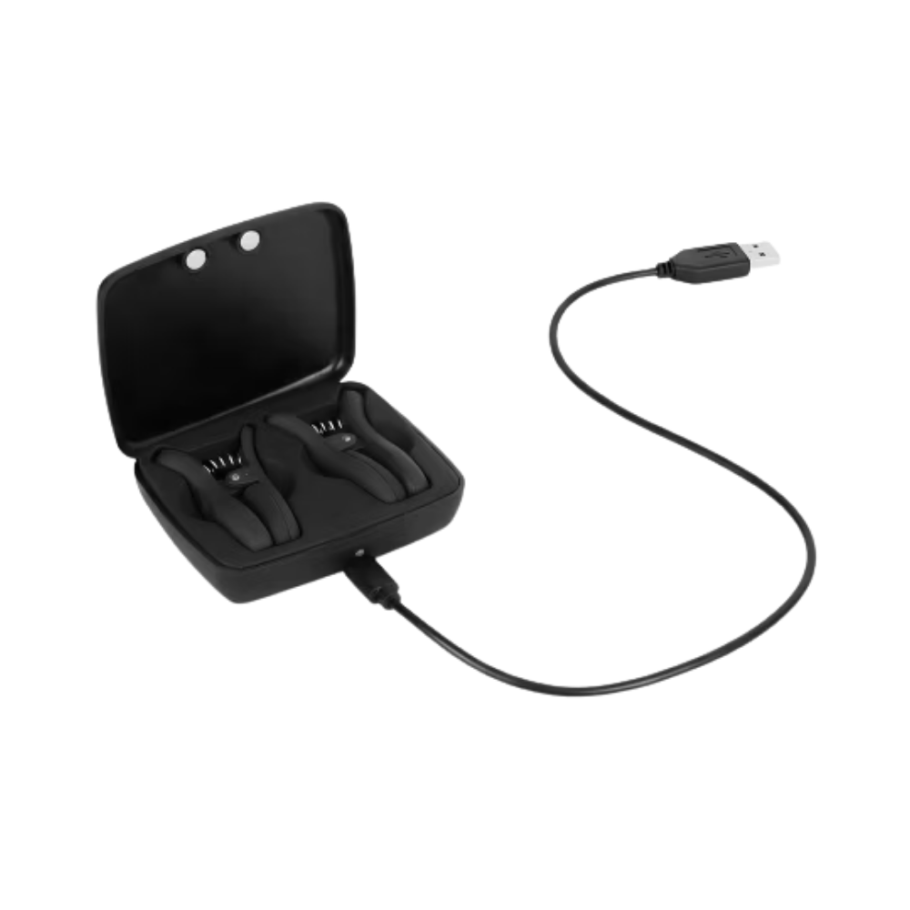 Vibrating Nipple Clamps In Rechargeable Case clamps