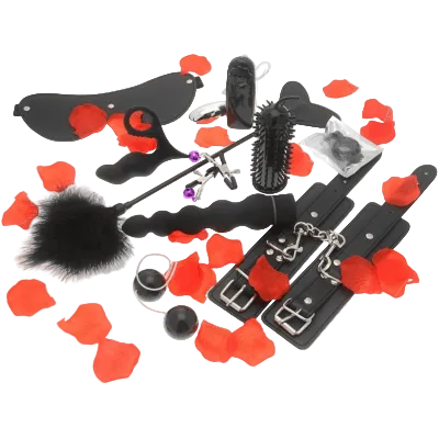 Amazing Pleasure Sex Toy Kit